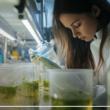 US Biotech Firms Race to Develop Next-Gen Biofuels
