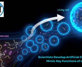 Scientists Develop Artificial Cells That Mimic Key Functions of Life