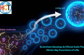 Scientists Develop Artificial Cells That Mimic Key Functions of Life
