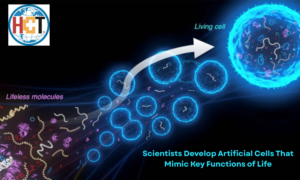 Scientists Develop Artificial Cells That Mimic Key Functions of Life