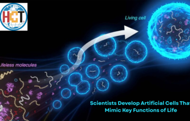 Scientists Develop Artificial Cells That Mimic Key Functions of Life