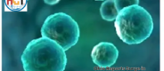 Ohio Reports Surge in Cyclosporiasis Cases, Food Safety Precautions | Healthcare Times Magazine