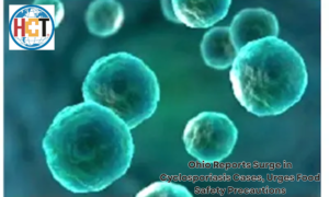 Ohio Reports Surge in Cyclosporiasis Cases, Food Safety Precautions | Healthcare Times Magazine