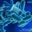 Legionnaires' Disease Cases Rise to 14 on Manhattan | Health Care Times Magazine