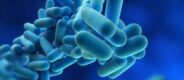 Legionnaires' Disease Cases Rise to 14 on Manhattan | Health Care Times Magazine