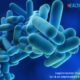 Legionnaires Disease Cases Rise to 14 on Manhattans Upper East Side 80x80