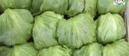 Is It Safe to Eat Lettuce Yet? What to Know About the Cyclosporiasis Outbreak