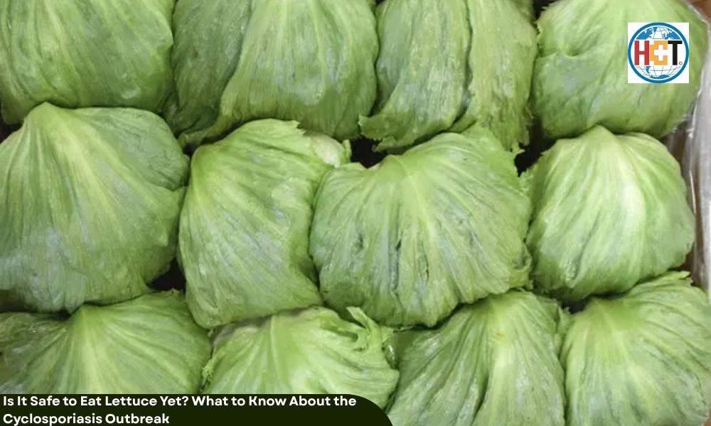 Is It Safe to Eat Lettuce Yet? What to Know About the Cyclosporiasis Outbreak