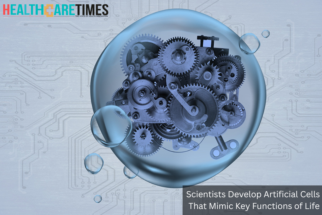 Scientists Develop Artificial Cells That Mimic Key Functions | Healthcare times magazine